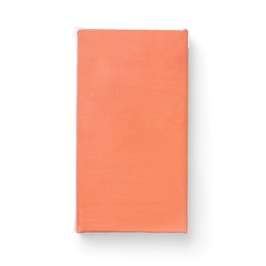 Palags jersī ar gumiju 120x60 cm CORAL BL058