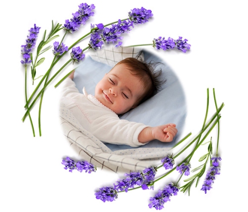 Termofors ar ķiršu kauliņiem BabyOno CHERRY Grey 796/02