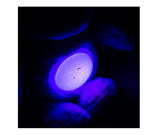 Projektors ar mūziku BEAR HADI pink BabyMix  37214