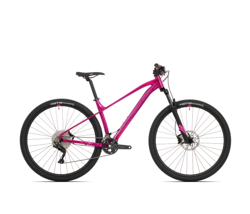 Kalnu velosipēds Rock Machine 29 Catherine 40-29 rozā (L)