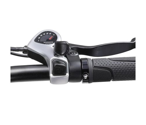 Elektriskais velosipēds APE RYDER 20 DC20 melns