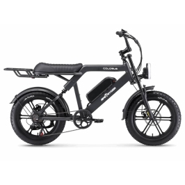 Электрический велосипед 20 A10 Colobus черный