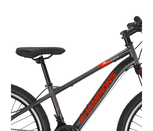 Pusaudžu velosipēds Champions 24 Kaunos DB (KAU.2421D) pelēks/oranžs