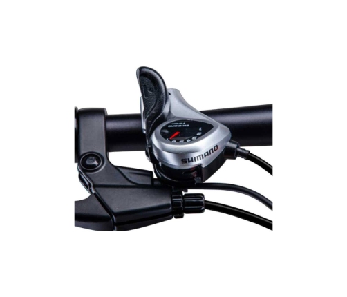 Складной электрический велосипед SKYJET 20 4S Shiny Antrasit Grey