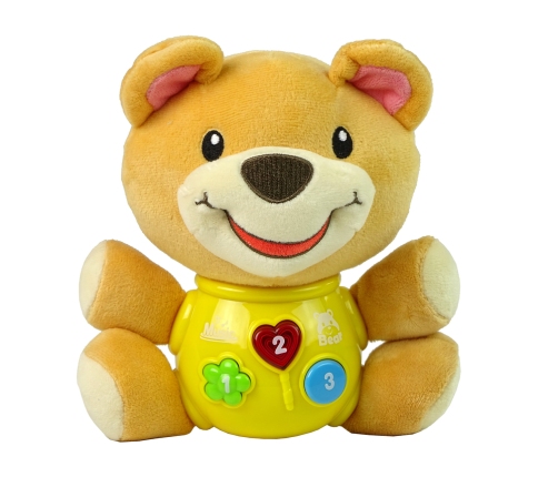 Interactive Educational Teddy Bear Sound Lullaby Melodies