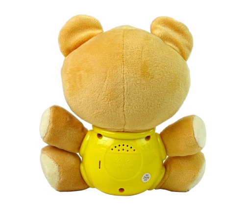 Interactive Educational Teddy Bear Sound Lullaby Melodies