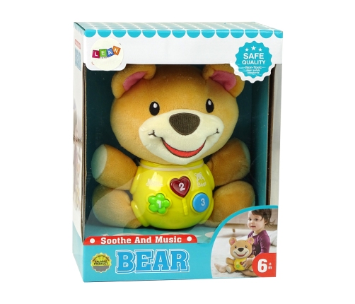 Interactive Educational Teddy Bear Sound Lullaby Melodies