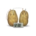 Potato Eco Clock Creative Science Experiment Set