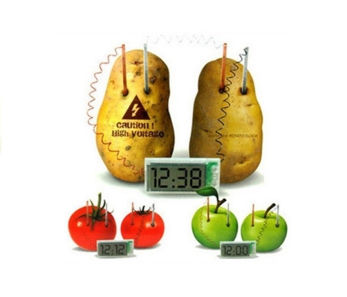 Potato Eco Clock Creative Science Experiment Set