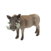 Set Figurine African Warthog Animals