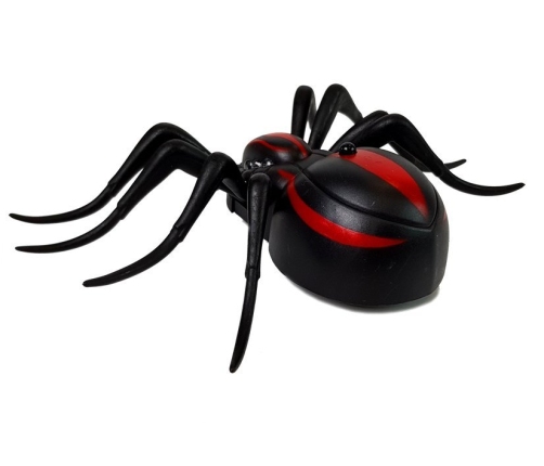 Black Spider Remote Controlled R / C Remote Control