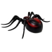 Black Spider Remote Controlled R / C Remote Control