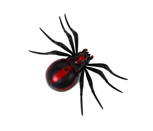 Black Spider Remote Controlled R / C Remote Control