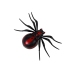 Black Spider Remote Controlled R / C Remote Control