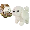 White Dog Mascot Interactive Dog Walks Moves Tail Sound