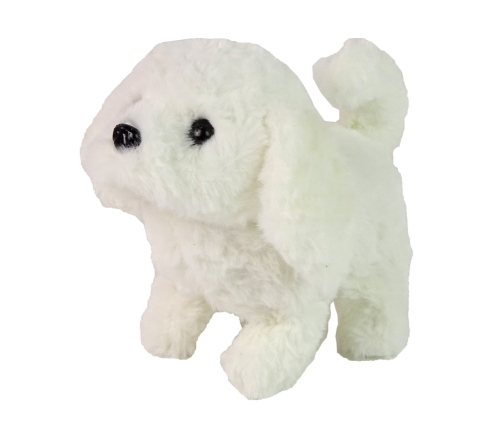 White Dog Mascot Interactive Dog Walks Moves Tail Sound