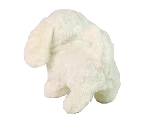 White Dog Mascot Interactive Dog Walks Moves Tail Sound