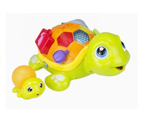 Baby Toddler Interactive Toy Parent Child Turtle Lights Sounds