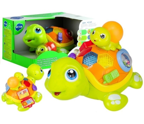 Baby Toddler Interactive Toy Parent Child Turtle Lights Sounds