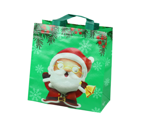 Santa Claus Gift Bag Green 23cm x 21.5cm x 11cm