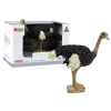 Collector's figurine Ostrich  Animals of the World series