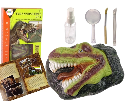 Dinosaur Tyrannosaurus Excavation Educational Kit