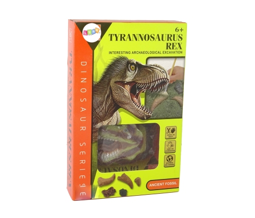 Dinosaur Tyrannosaurus Excavation Educational Kit