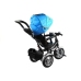 Tricycle Bike PRO500 - Blue