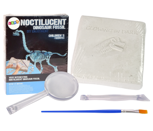 Archaeology Excavation Kit Dinosaur Skeleton 3D Brachiosaurus Hologram