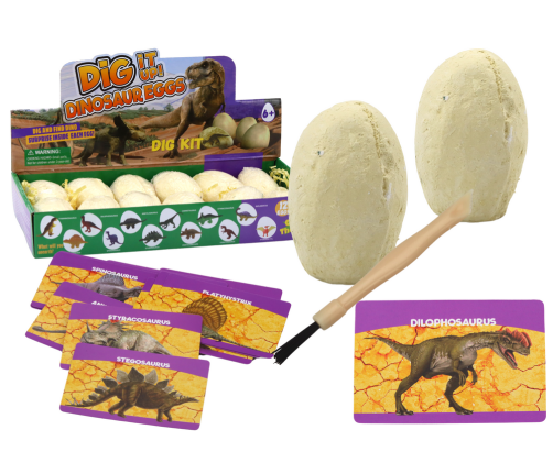 Archaeological Excavation Set Dinosaurs Eggs Cards 12 Pieces