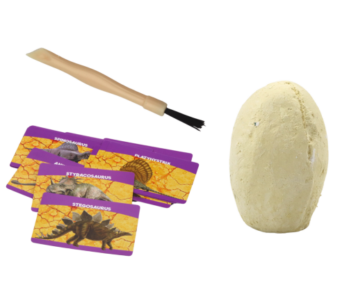 Archaeological Excavation Set Dinosaurs Eggs Cards 12 Pieces