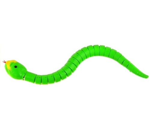 Remote Controlled Green Snake