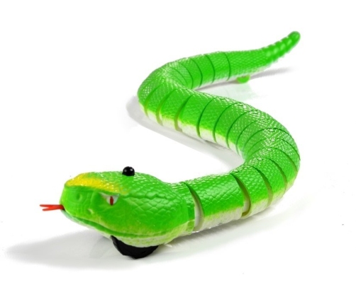 Remote Controlled Green Snake