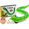 Remote Controlled Green Snake