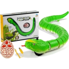 Remote Controlled Green Snake