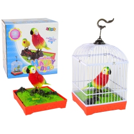 Colorful parrot with a cage