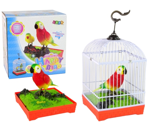 Colorful parrot with a cage