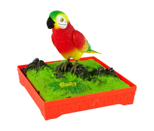 Colorful parrot with a cage