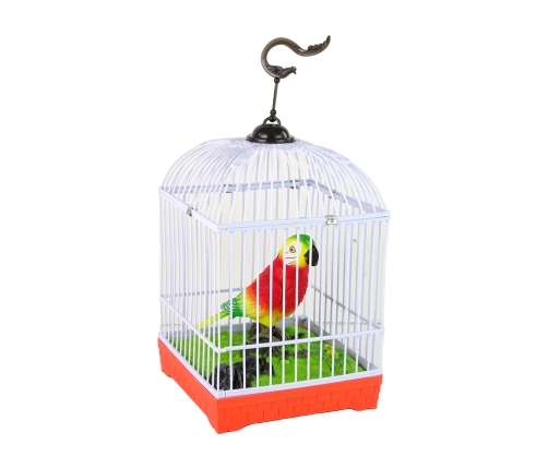 Colorful parrot with a cage