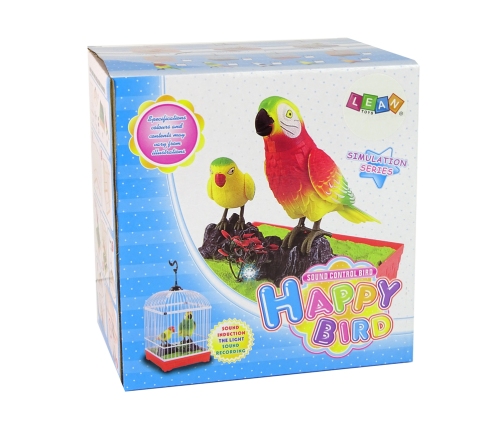 Colorful parrot with a cage