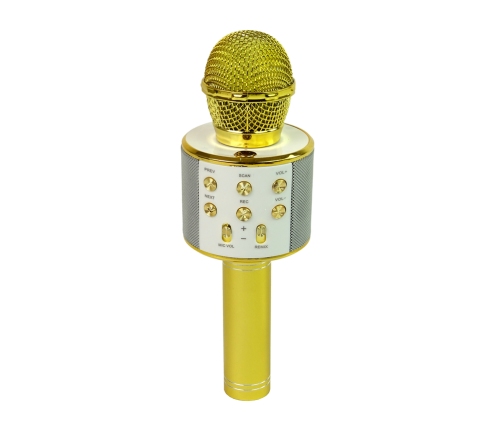 Wireless Microphone USB Speaker Karaoke Recording Model WS-858 Gold