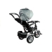 Tricycle Bike PRO500 - Silver