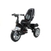 Tricycle Bike PRO500 - Silver