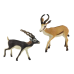 Set of 2 Figures Antelope with cub Animals of the World