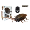 Radio Controlled Ladybug R/C Insect