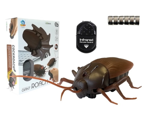 Radio Controlled Ladybug R/C Insect