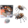 Remote Controlled Spider RC Infrared Water Steam Lights