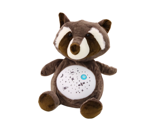 Teddy Bear Sleeping Lights Sounds Night and Day Mode Raccoon