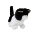 Black and White Cat Walks Wags Its Tail on Batteries