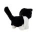 Black and White Cat Walks Wags Its Tail on Batteries